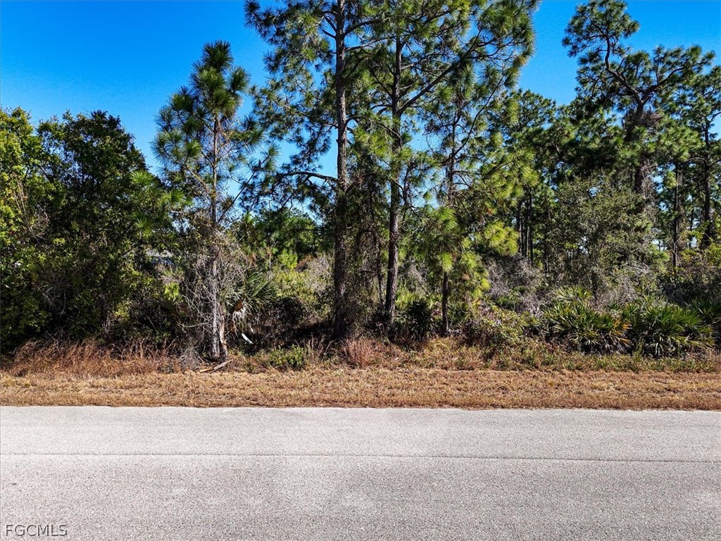 169 Duke Avenue S Lehigh Acres FL 33974 2026007882 image17