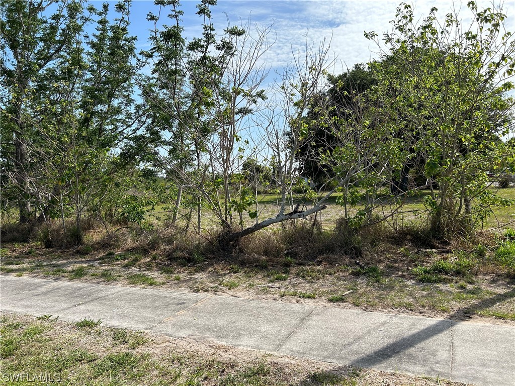 16971 1st Street Alva FL 33920 223024412 image1