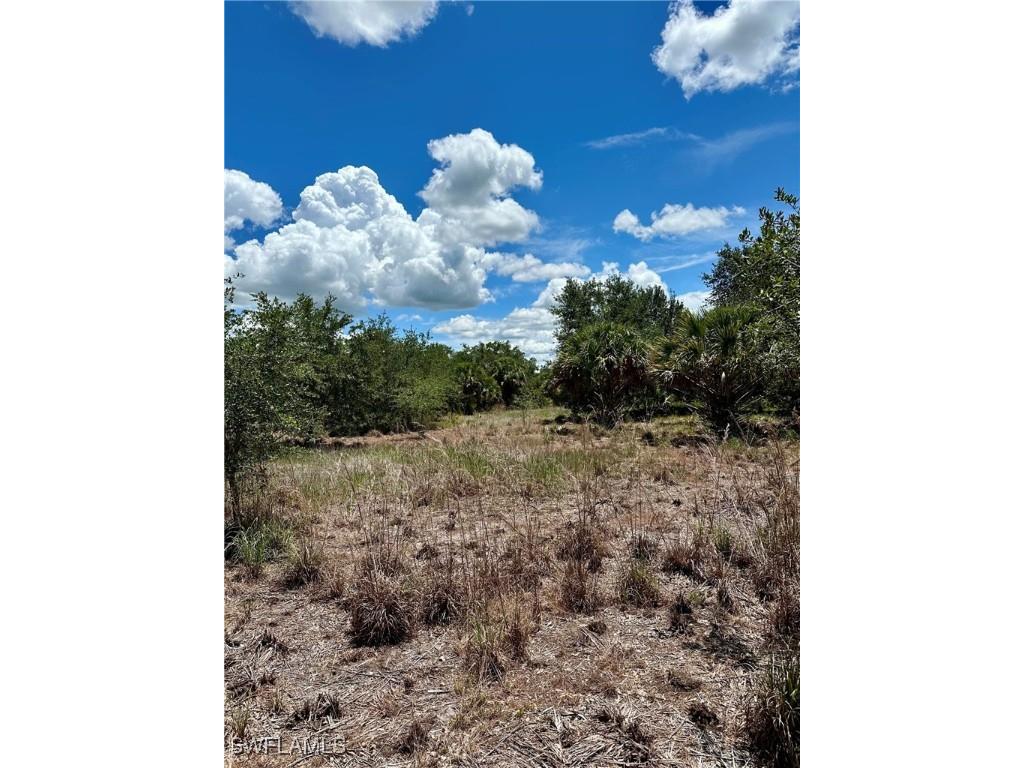 1701 Cabbage Wood Road Okeechobee FL 34974 225078308 image10