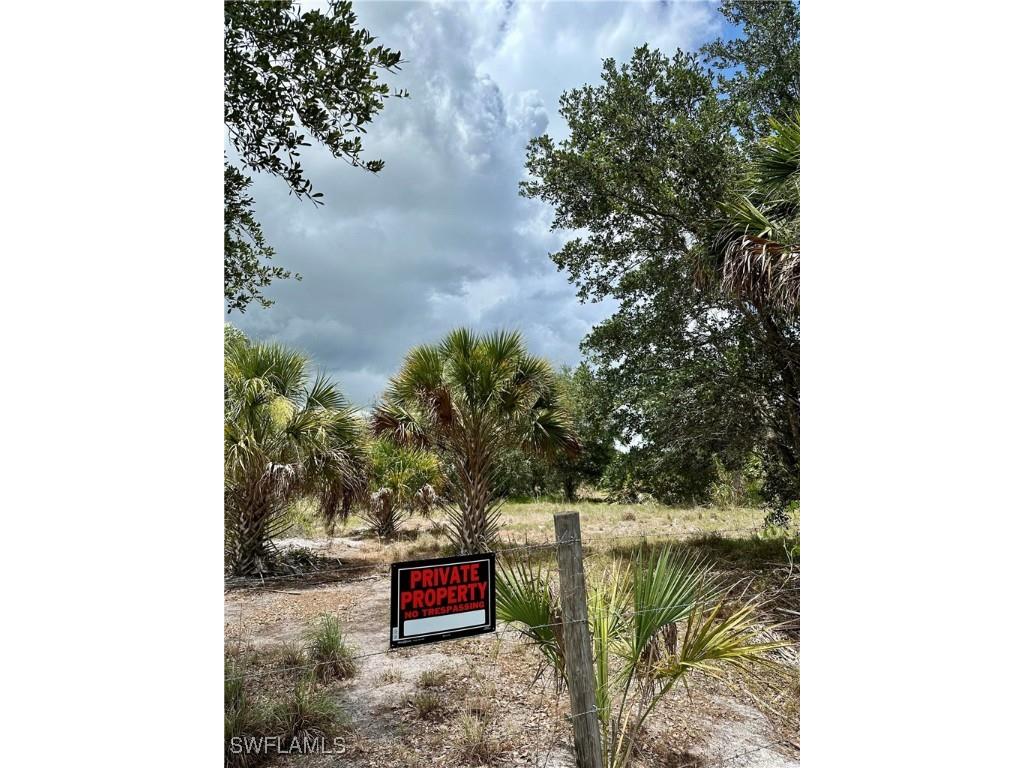 1701 Cabbage Wood Road Okeechobee FL 34974 225078308 image13