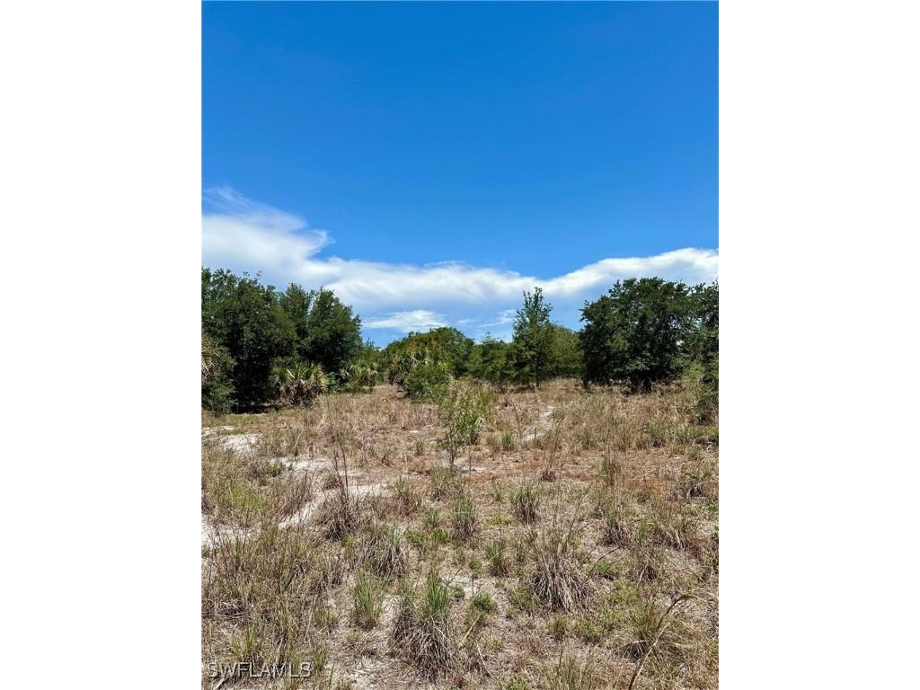 1701 Cabbage Wood Road Okeechobee FL 34974 225078308 image14