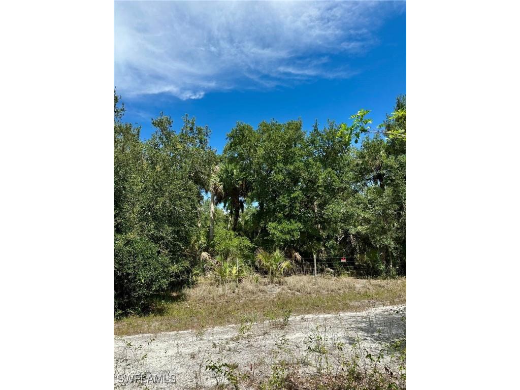 1701 Cabbage Wood Road Okeechobee FL 34974 225078308 image15