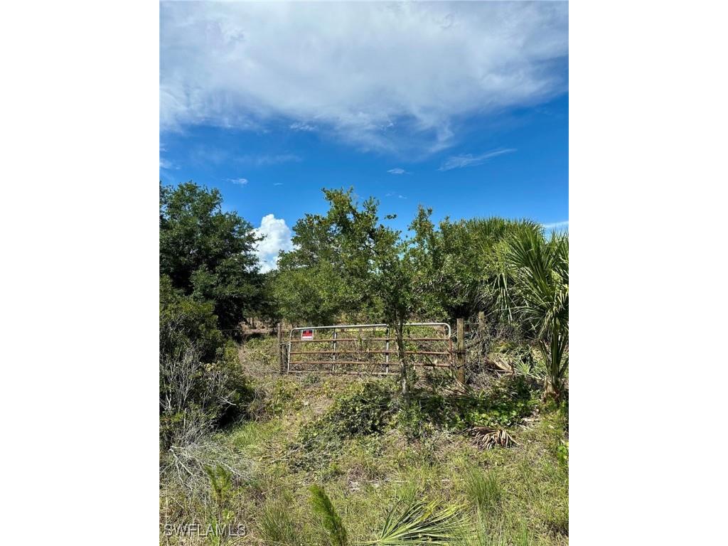 1701 Cabbage Wood Road Okeechobee FL 34974 225078308 image16