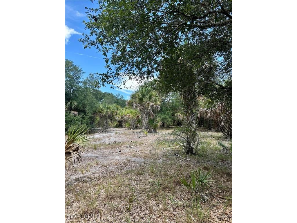 1701 Cabbage Wood Road Okeechobee FL 34974 225078308 image17