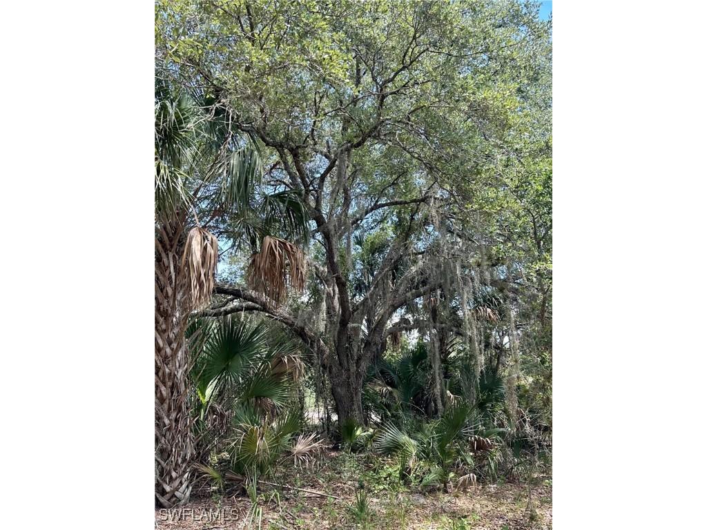 1701 Cabbage Wood Road Okeechobee FL 34974 225078308 image2