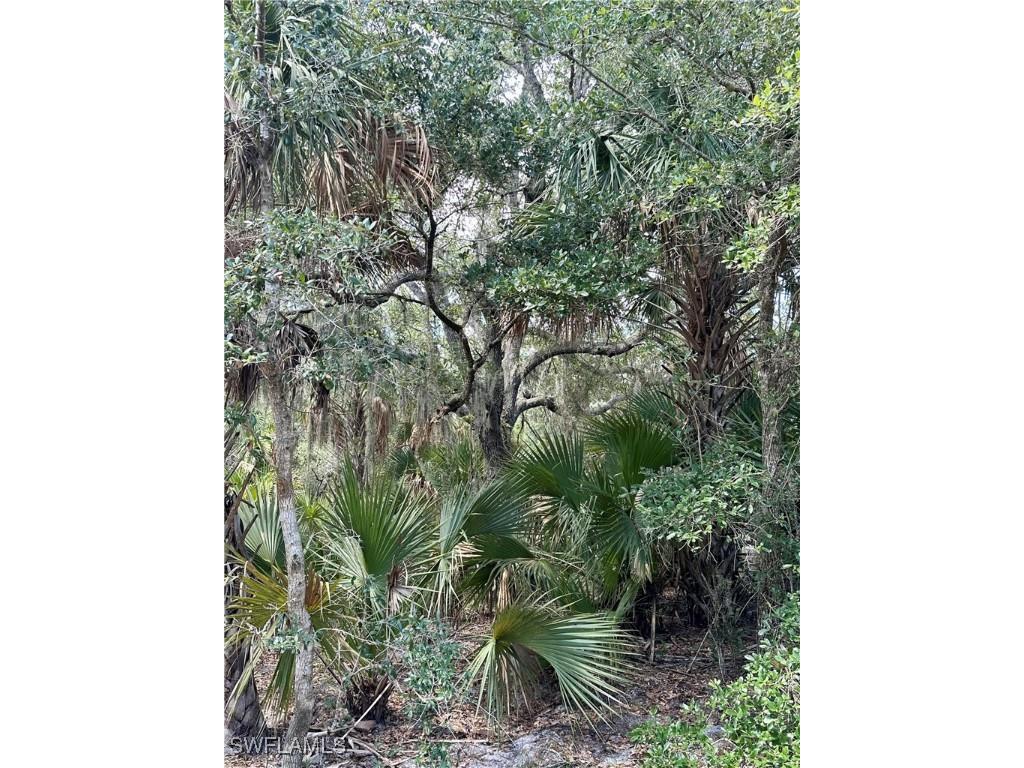 1701 Cabbage Wood Road Okeechobee FL 34974 225078308 image3