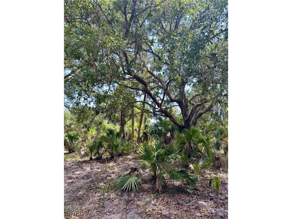 1701 Cabbage Wood Road Okeechobee FL 34974 225078308 image4