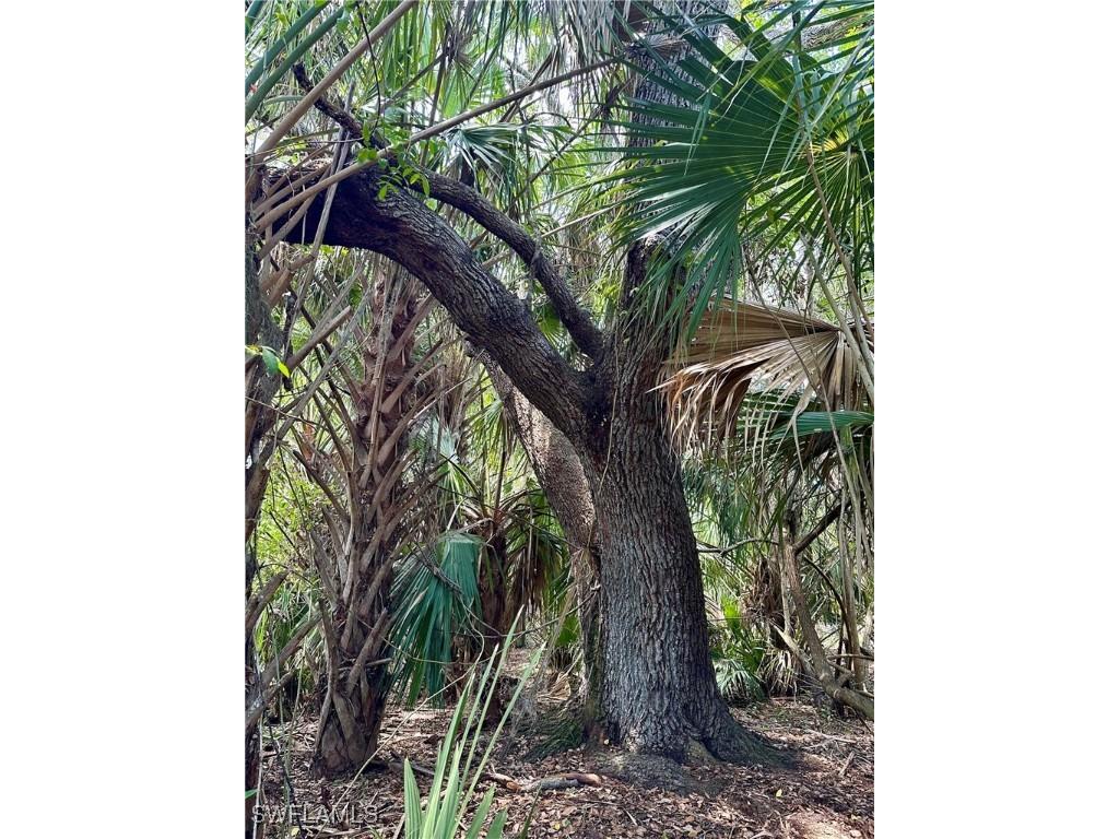 1701 Cabbage Wood Road Okeechobee FL 34974 225078308 image7