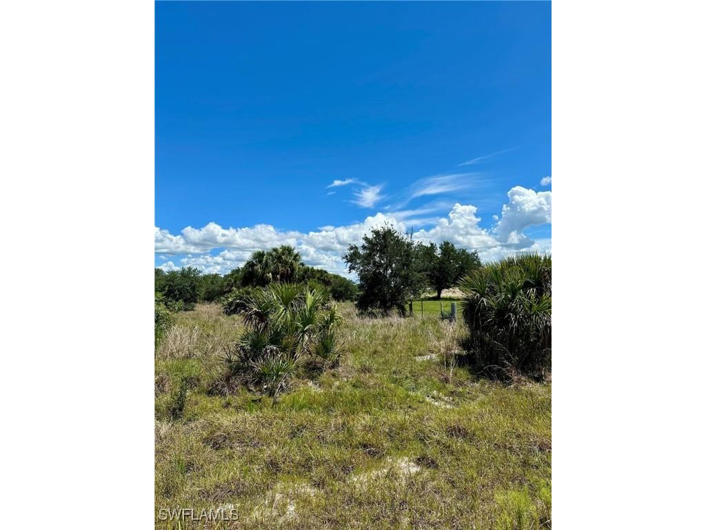 1701 Cabbage Wood Road Okeechobee FL 34974 225078308 image8