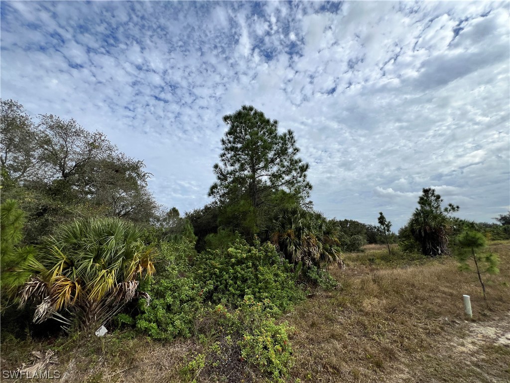 1702 Johns Avenue Lehigh Acres FL 33972 223093262 image1