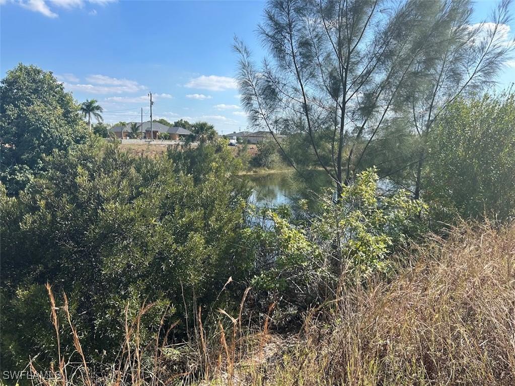 1703 NW 7th Avenue Cape Coral FL 33993 225080452 image8