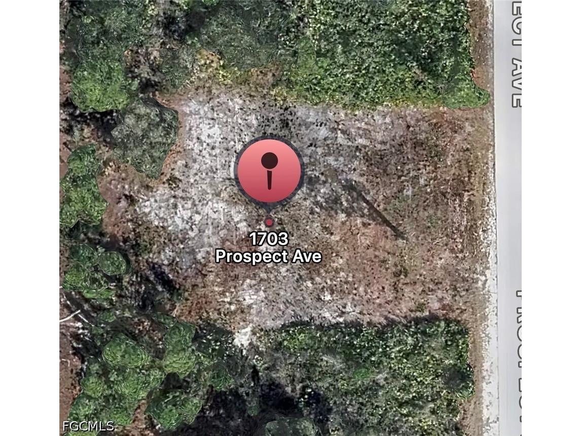 1703 Prospect Avenue Lehigh Acres FL 33972 2026019649 image1