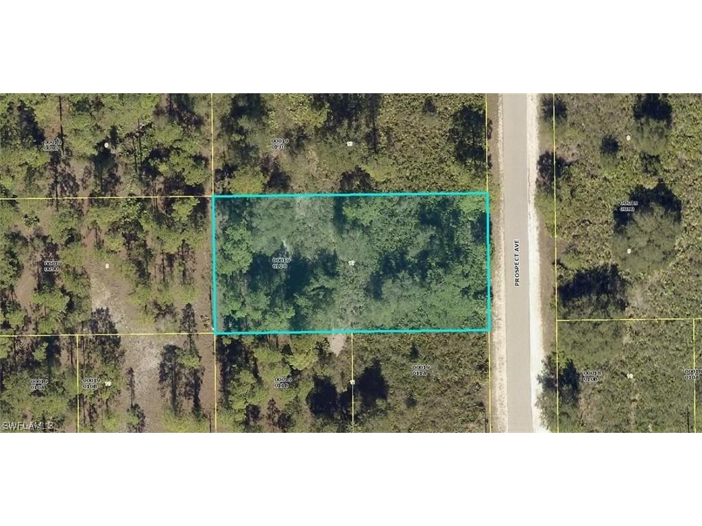 1703 Prospect Avenue Lehigh Acres FL 33972 223051009 image1
