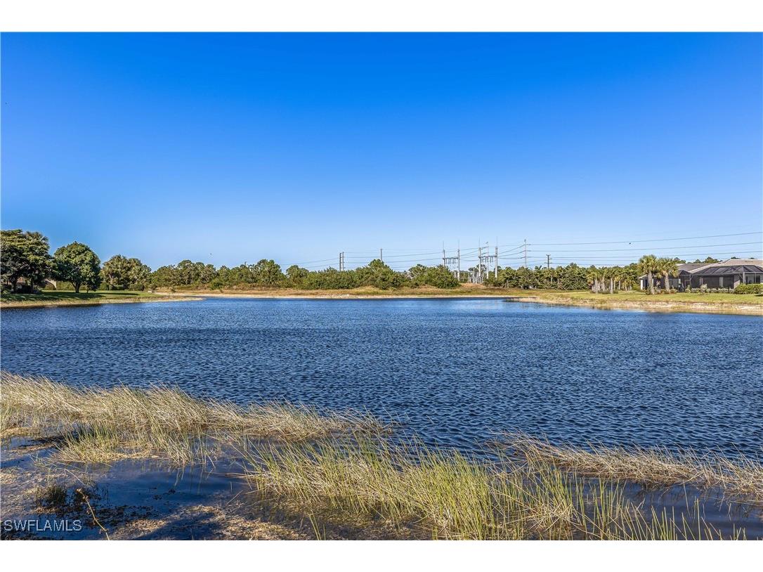 17033 Oakstead Drive Alva FL 33920 225082851 image21