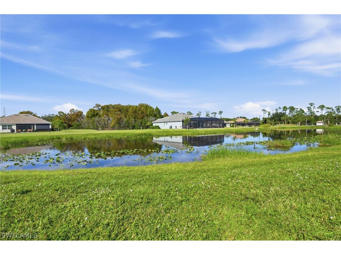 17040 Serengeti Circle Alva FL 33920 226006132 image38