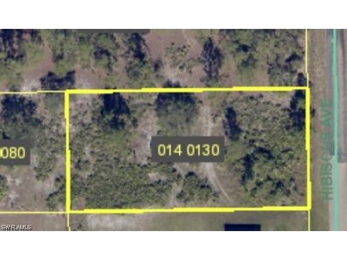 1705 Hibiscus Avenue Lehigh Acres FL 33972 223079676 image1