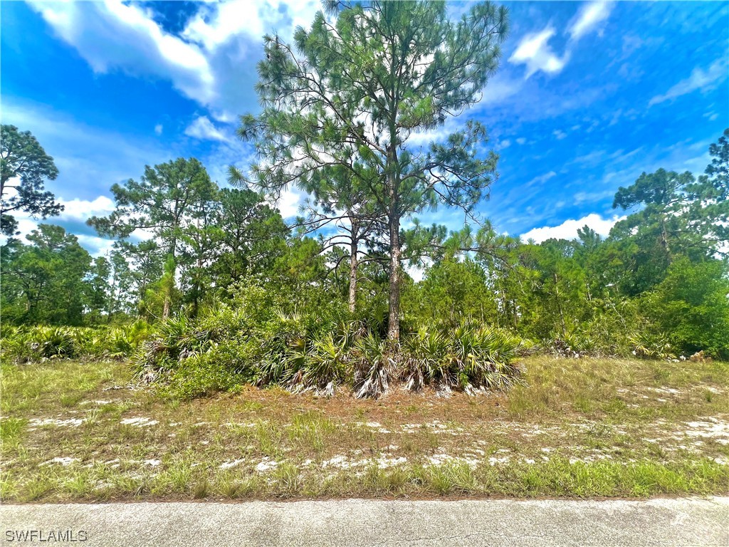 1706 Cortez Avenue Lehigh Acres FL 33972 223045868 image1