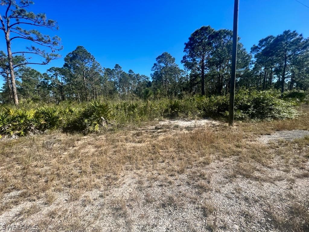 1708 Desoto Avenue Lehigh Acres FL 33972 223003841 image1