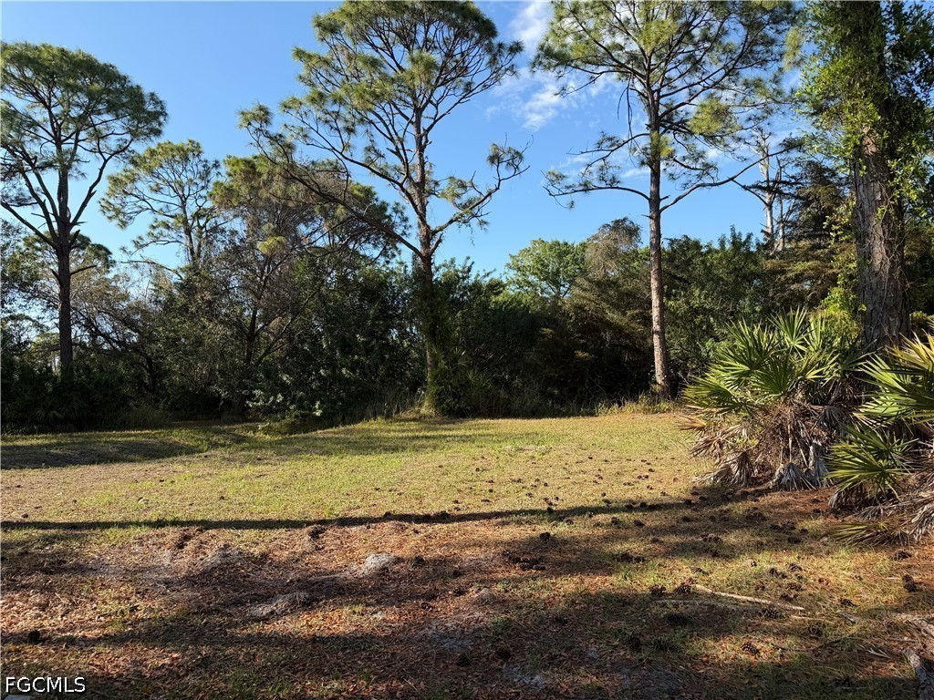 17090 Shady Grove Ln Cape Coral FL 33909 2026024163 image3