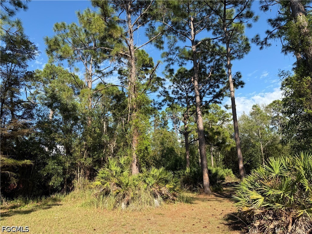 17090 Shady Grove Ln Cape Coral FL 33909 2026024163 image4