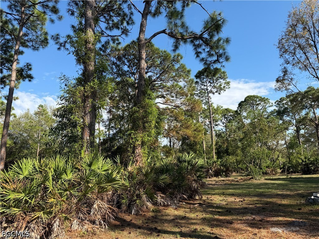 17090 Shady Grove Ln Cape Coral FL 33909 2026024163 image5