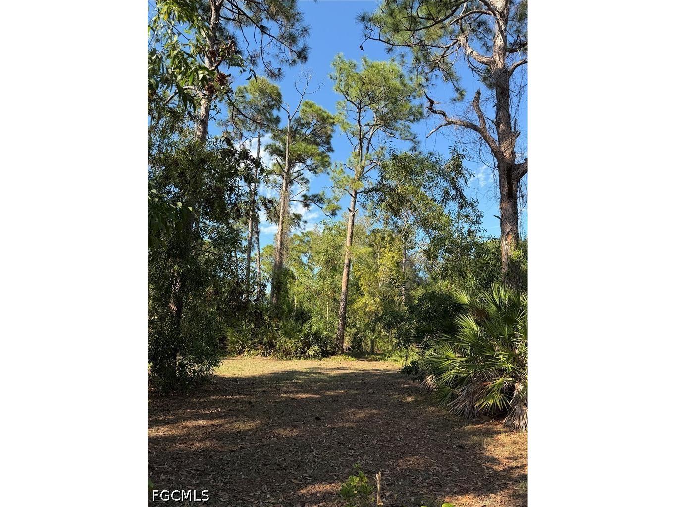 17090 Shady Grove Ln Cape Coral FL 33909 2026024163 image6