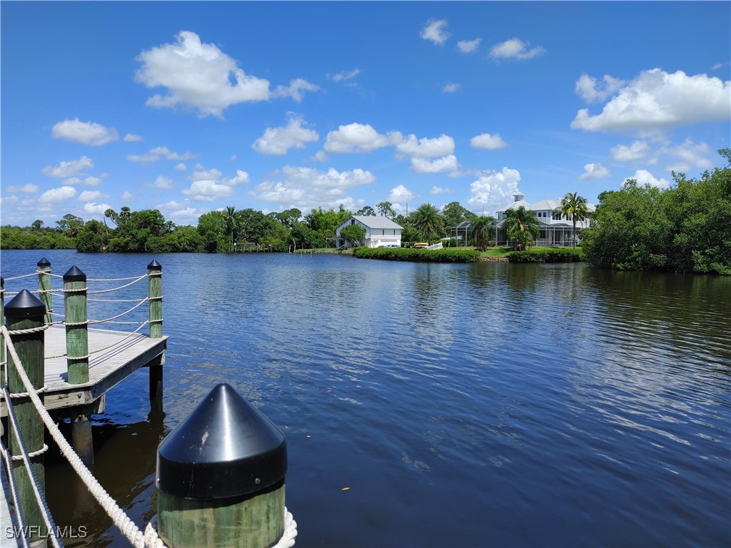 17091 Laurelin Court North Fort Myers FL 33917 225054538 image28