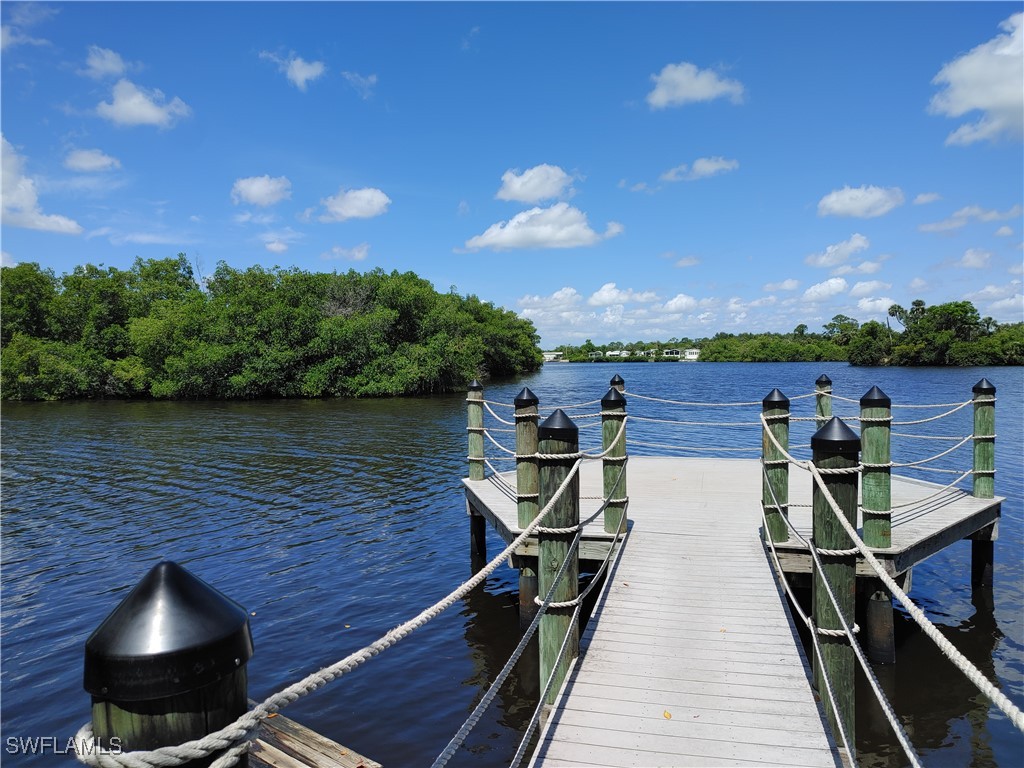 17091 Laurelin Court North Fort Myers FL 33917 225054538 image29