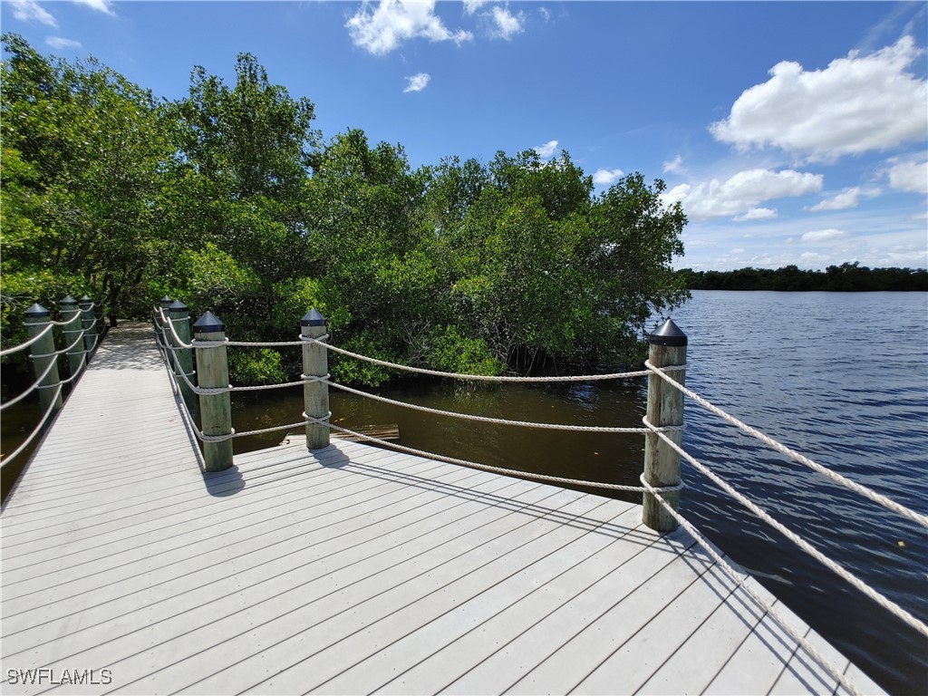 17091 Laurelin Court North Fort Myers FL 33917 225054538 image31