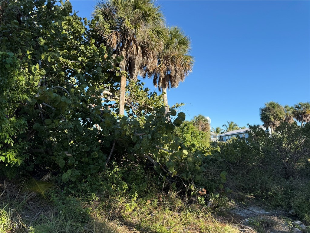 171 Swallow Drive Captiva FL 33924 2026003175 image2