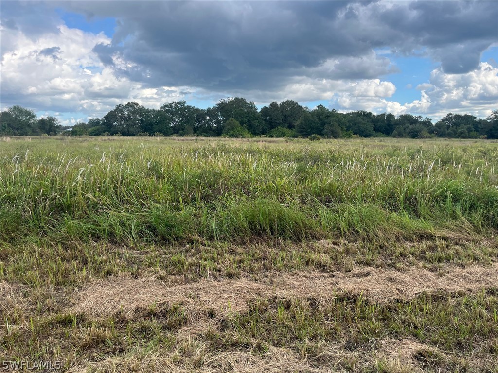 1710 Jackson Avenue Lehigh Acres FL 33972 222078727 image1