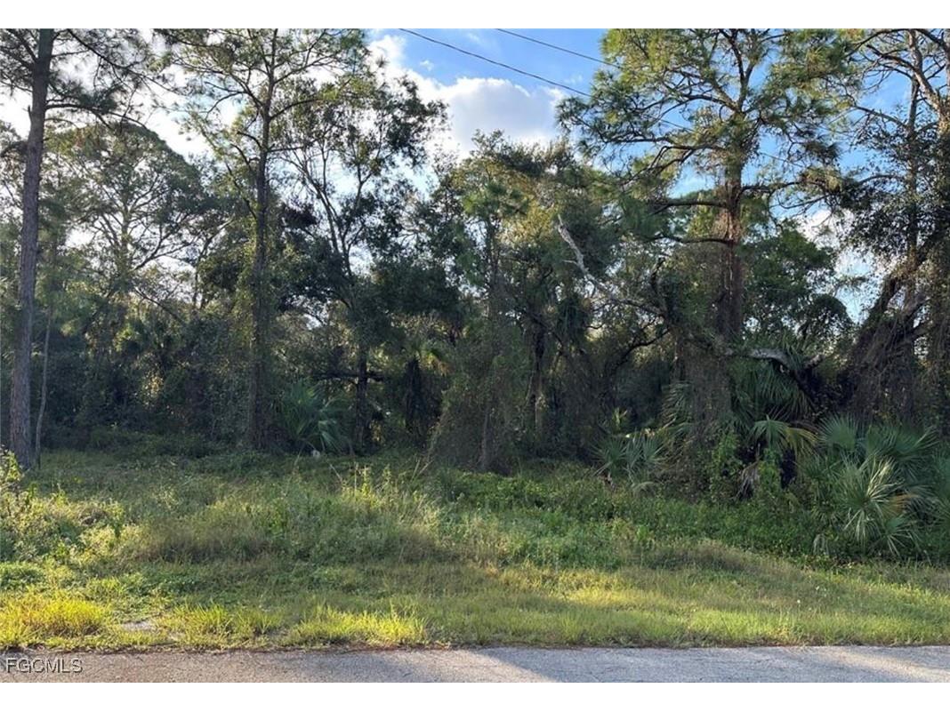1711 Greenwood Avenue Lehigh Acres FL 33972 2025026204 image1