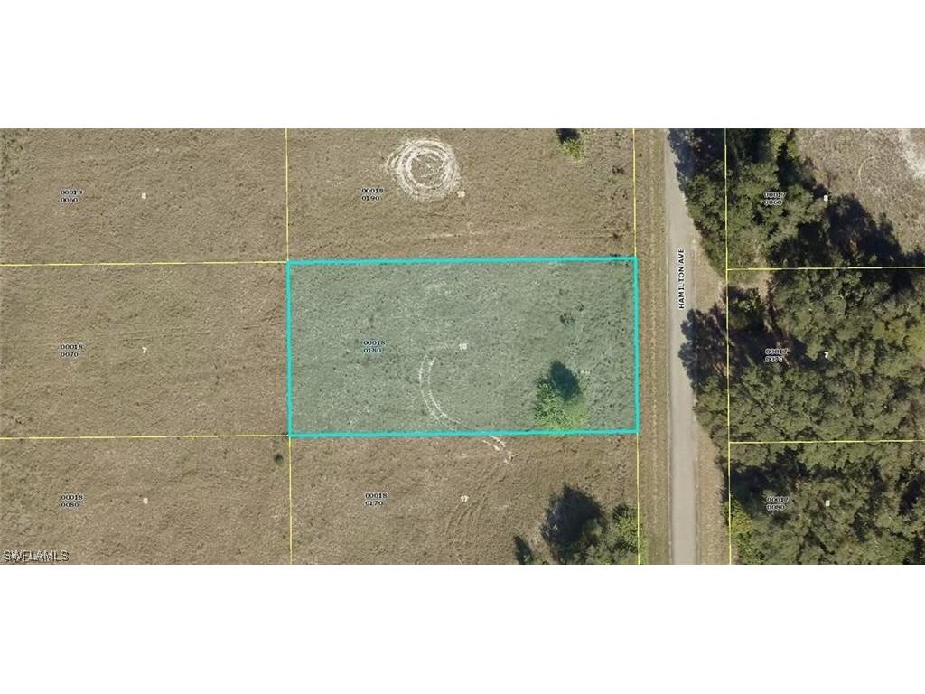 1711 Hamilton Avenue Lehigh Acres FL 33972 223067490 image1