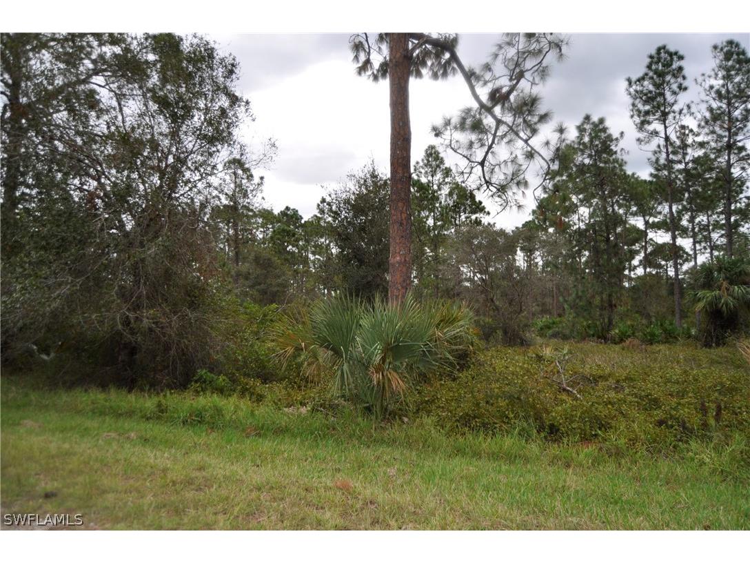 1712 Calvin Avenue Lehigh Acres FL 33972 222074938 image1