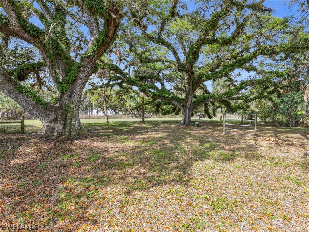 1712 Frontier Circle Labelle FL 33935 226011917 image42