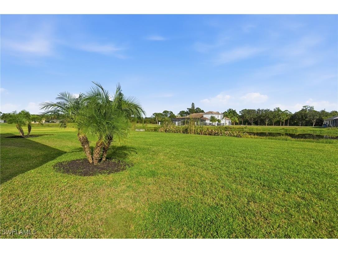 17120 Serengeti Circle Alva FL 33920 225082870 image45