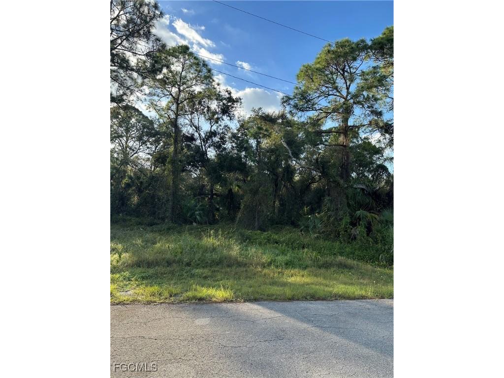 1713 Greenwood Avenue Lehigh Acres FL 33972 2025026206 image2