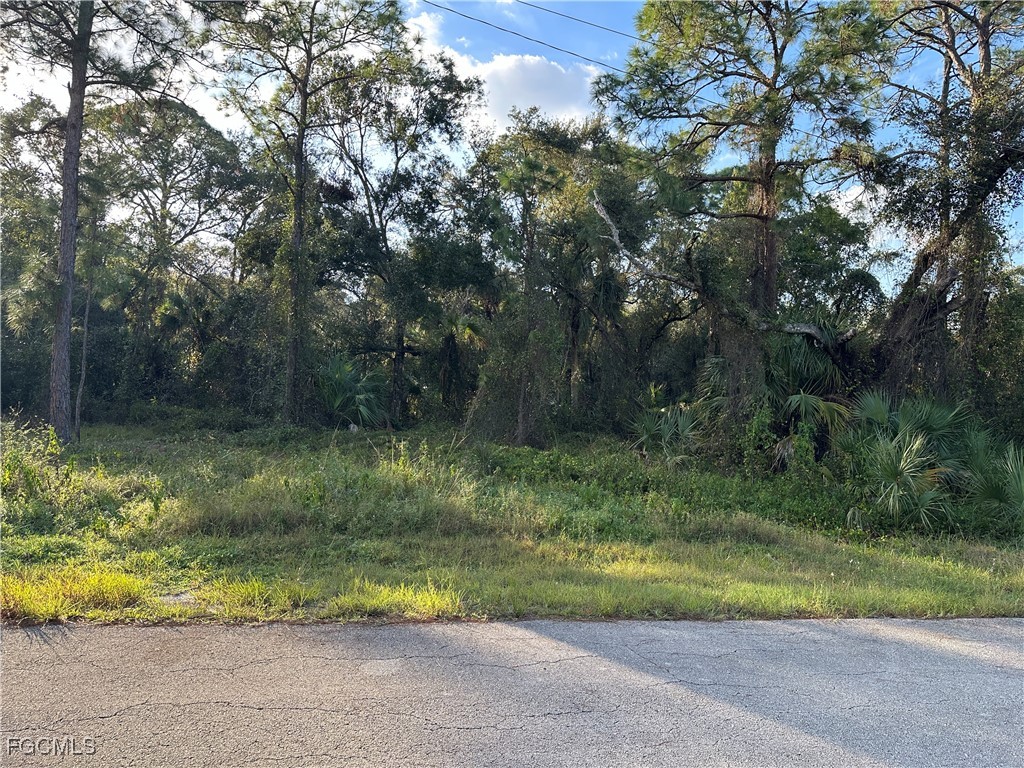 1713 Greenwood Avenue Lehigh Acres FL 33972 2025026206 image4