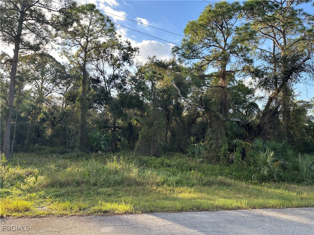 1713 Greenwood Avenue Lehigh Acres FL 33972 2025026206 image5