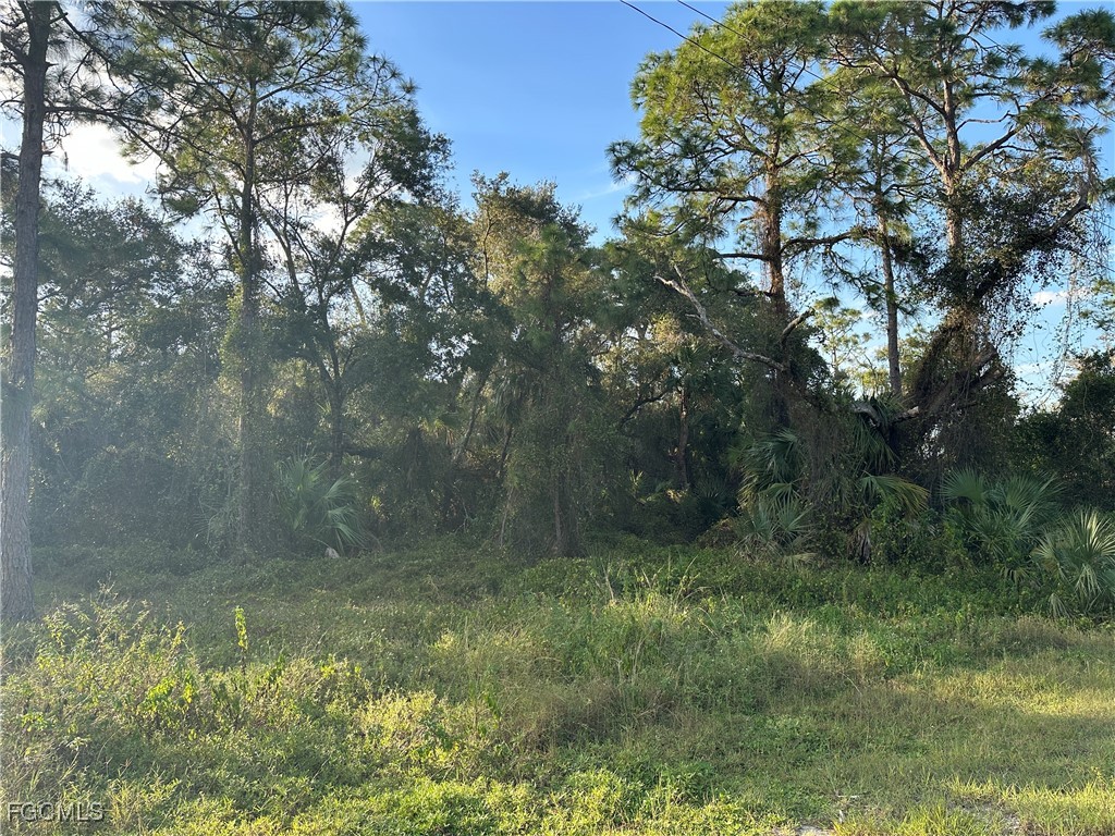 1713 Greenwood Avenue Lehigh Acres FL 33972 2025026206 image6