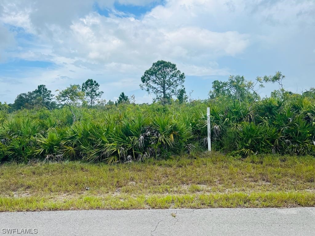 1715 Congress Avenue Lehigh Acres FL 33972 224004229 image1