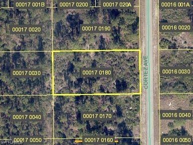 1715 Cortez Avenue Lehigh Acres FL 33972 223058988 image1