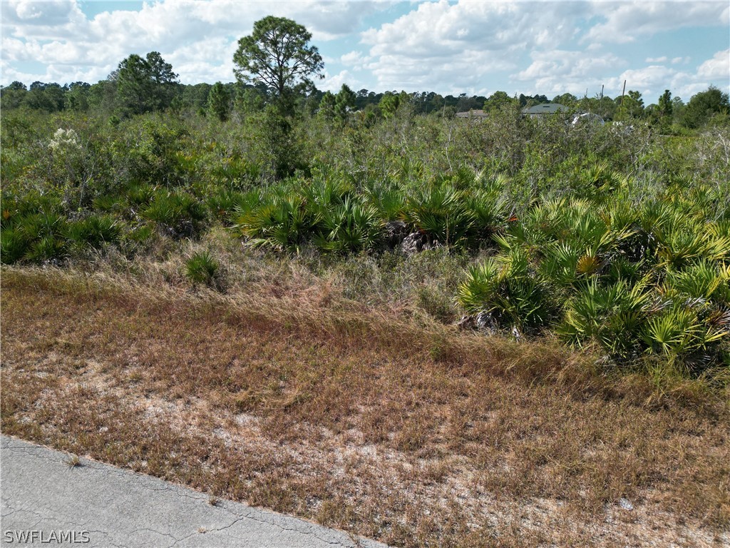 1717 Congress Avenue Lehigh Acres FL 33972 224054974 image1