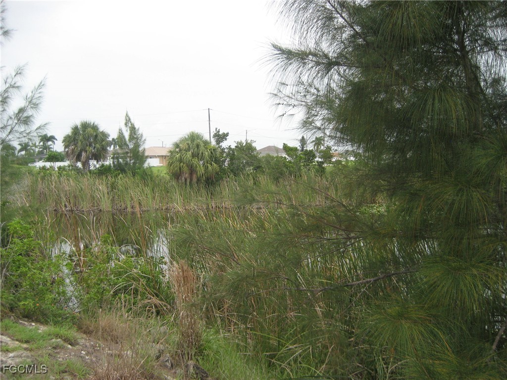 1717 NW 21st Place Cape Coral FL 33993 2025020877 image16