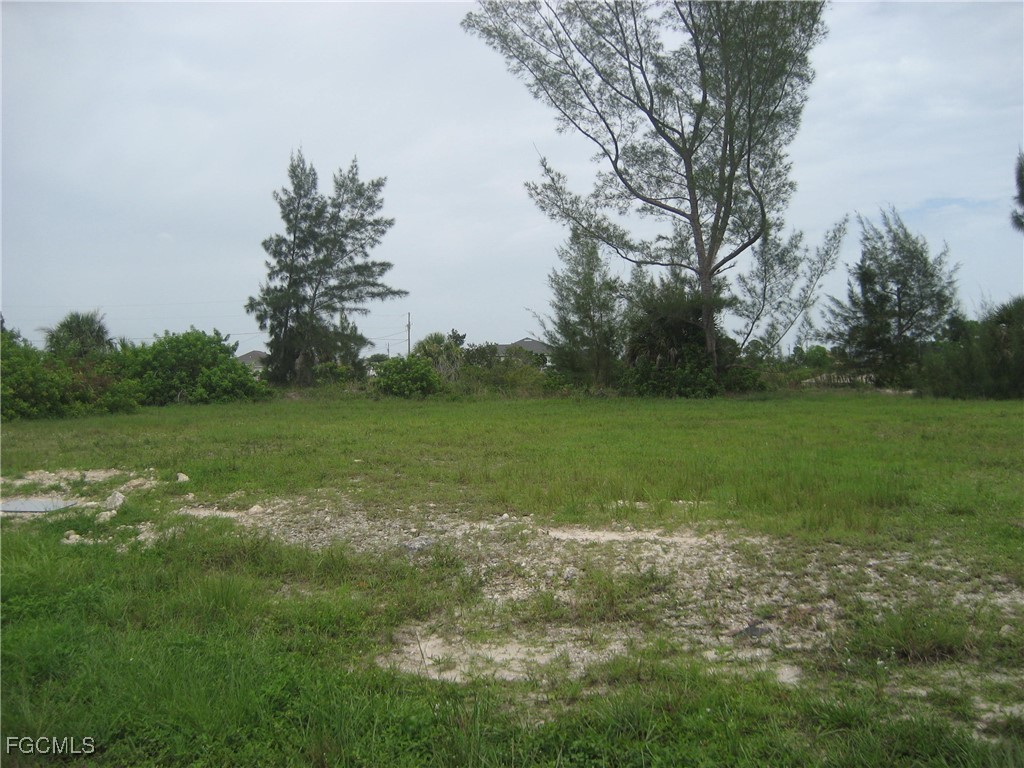 1717 NW 21st Place Cape Coral FL 33993 2025020877 image3