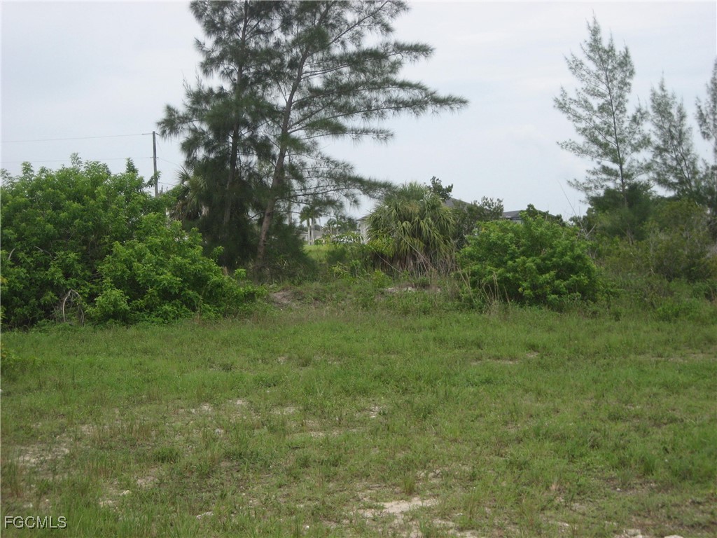 1717 NW 21st Place Cape Coral FL 33993 2025020877 image4