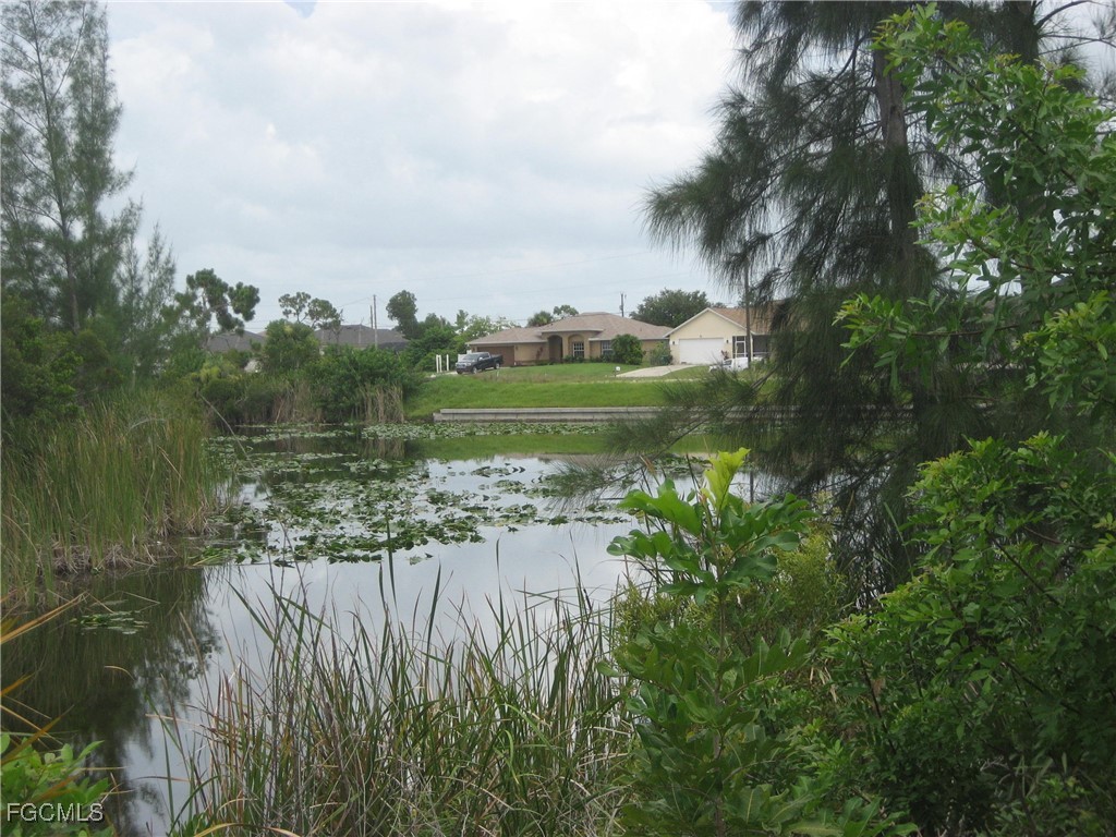 1717 NW 21st Place Cape Coral FL 33993 2025020877 image5