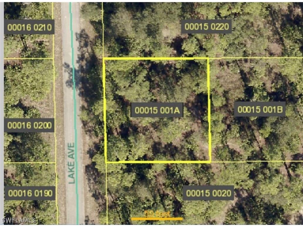 1718 Lake Avenue Lehigh Acres FL 33972 223081394 image1