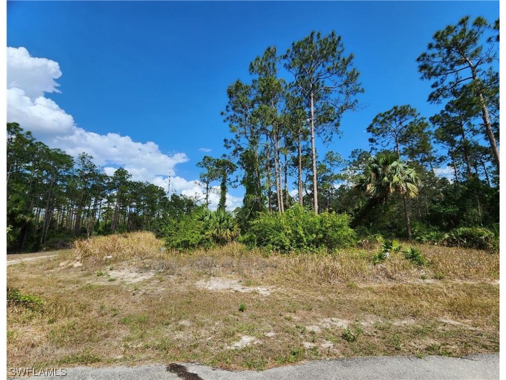 1720 Eighth Avenue Lehigh Acres FL 33972 223026475 image1