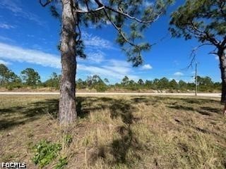 1720 Jacaranda Parkway W Cape Coral FL 33993 2026021266 image10